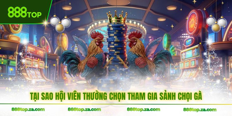 Tại sao hội viên thường chọn tham gia sảnh